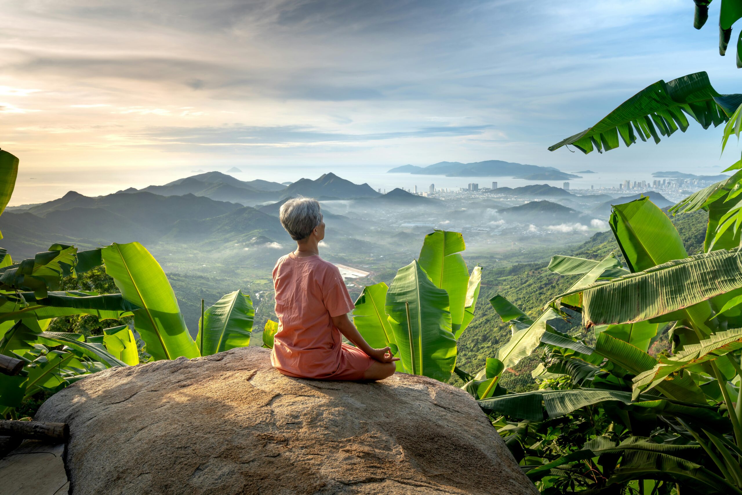 pexels-quang-nguyen-vinh-222549-14025084 zen zen